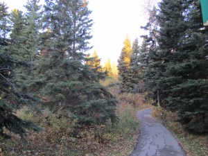 Early this morning,I left for my daily walk/run, my thoughts in a turmoil. Regardless of my struggle to keep postive, yesterday plagued my mind. I'd been helping my 35 yrear-old son who has MS.His words, brimming with anger and defeat still burned in my head. The sight of him clinging  to railings, cupboards, and walls to navigate around his home haunted my heart. As a mother, I wanted to cradle him as I did when he was two years old. To tell him tomorrow will be better. But he's no longer little and I know tomorrow might be worse. I needed to blame someone, something. To scream. To demand why. Was this punishment for some wrong deed? My fists clenched. My throat ached and I looked up.  Only God had  the answers. Peace like a warm blanket swaddled me and He is High and Lifted Up floated into my thoughts and as if to prove it, as I sprinted around the next corner the rose high enough to to set aglow a clump of trees. Humbled, I slowed my pace. In spite of my negitivity, God had taken time to remind me even in the midst of dispair, He is with us. He is High and Lifted Up, and will give us the strength and wisdom we need in the moment we need it. 